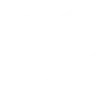 20 Years of Industry Experience